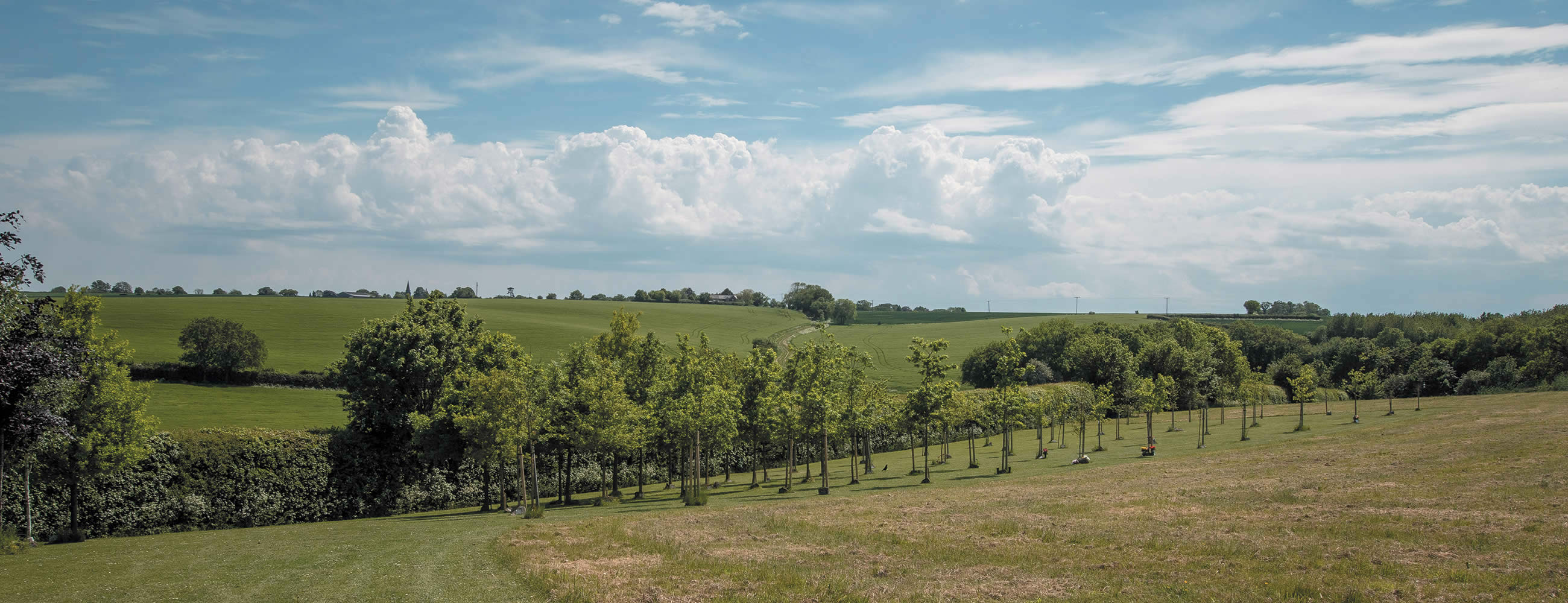 Austins natural burial park